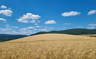 Poranki chłodne, popołudnia ciepłe [POGODA]
