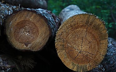 Przelotny deszcz rano, potem bardziej pogodnie i chłodniej [POGODA]