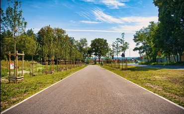 Nowe drogi rowerowe w Bydgoszczy: gdzie powstają?