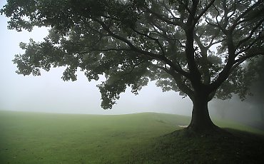Nocne opady i wiatr po ciepłym dniu [POGODA]