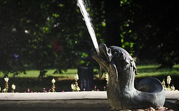 Chłodny, porywisty poranek, suche popołudnie [POGODA]