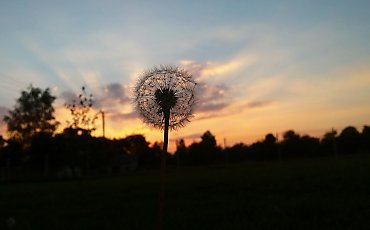 Słonecznie z narastającym wiatrem [POGODA]