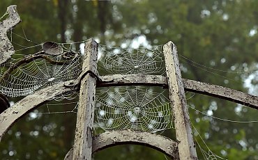 Pochmurno z przelotnym deszczem i porywistym wiatrem [POGODA]