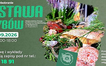 Grzybobranie bez zgadywania. W Bydgoszczy specjaliści pokażą, jak rozpoznawać gatunki