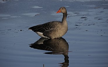 Ciepła sobota, deszczowa niedziela [POGODA]