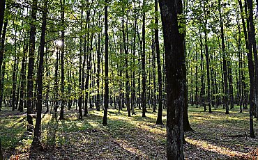 Po pochmurnej sobocie słoneczna niedziela [POGODA]