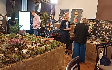 Piękne, smaczne i śmiertelnie niebezpieczne. Wielka Wystawa Grzybów ruszyła w Bydgoszczy