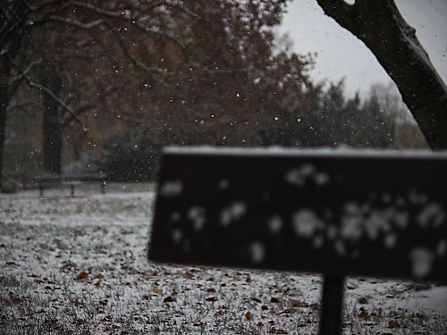 Mróz robi się poważniejszy [POGODA]