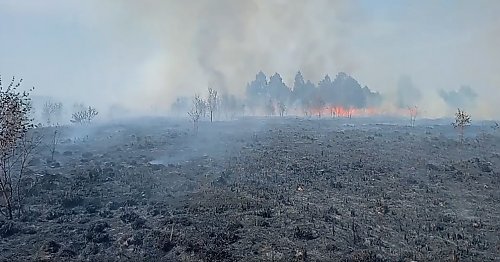 Pali się torf w Paterku. Katastrofalna sytuacja może potrwać kilka dni [WIDEO]