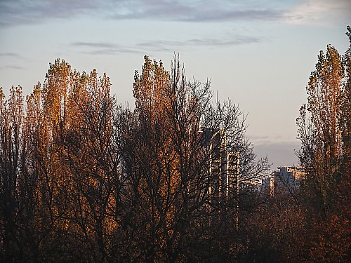 Deszcz i skoki ciśnienia [POGODA]