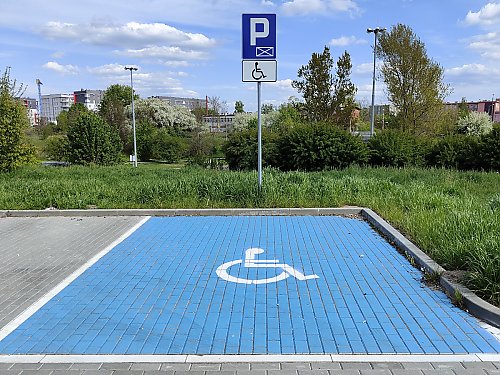 Nietrzeźwa kierująca i sfałszowana karta parkingowa. Straż Miejska podsumowuje interwencje