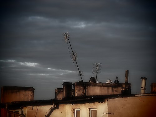 Chłód i wilgoć [POGODA]