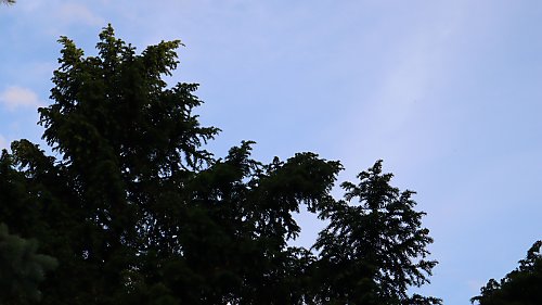 Nad całą Polską niebo jest bezchmurne! [POGODA]