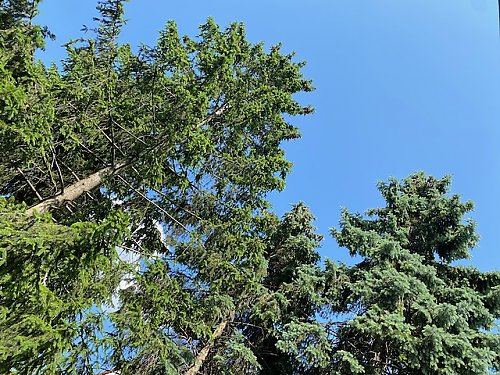 Napływ chłodnego powietrza z północnego zachodu. Stabilizacja w czwartek [POGODA]