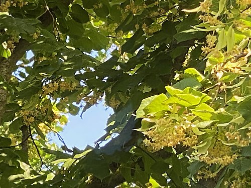 Wzrost temperatur aż do burzy kończącej cykl [POGODA]