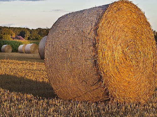 Dziś będzie chłodno, ale od jutra coraz cieplej [POGODA]