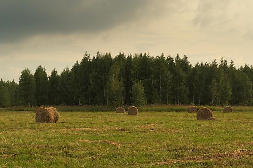 Lato normalnieje? [POGODA]