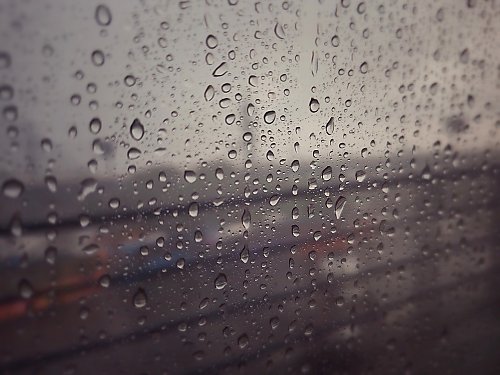 Poranne opady, potem rozpogodzenia [POGODA]