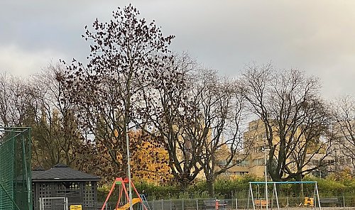 Pogodnie, bez opadów [POGODA]