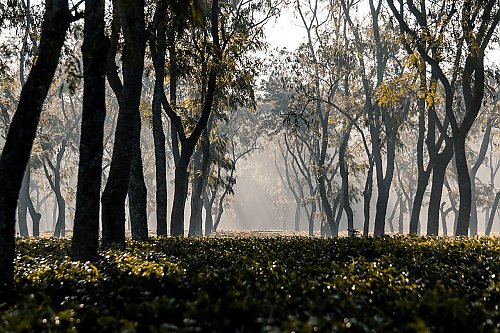 Słonecznie z umiarkowanym wiatrem nad Bydgoszczą [POGODA]