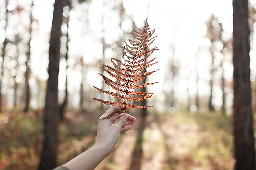 Pochmurno i chłodno, ale niedługo nastąpi zmiana [POGODA]