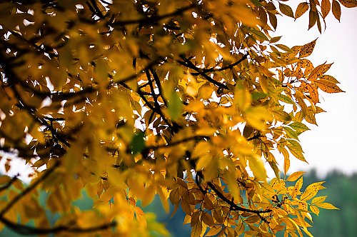 Pochmurno i wietrznie [POGODA]