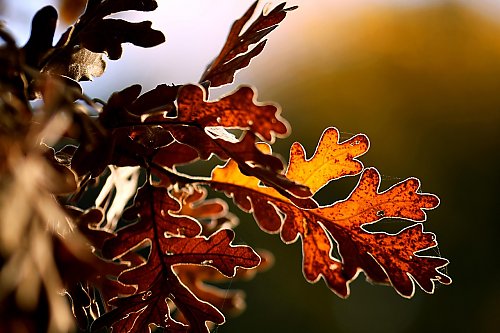 Pochmurno i wietrznie [POGODA]