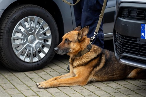 Nowoczesne wsparcie dla kujawsko-pomorskiej policji: drony, psy służbowe i mobilne centra na straży bezpieczeństwa!