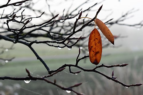 Chmury i przelotne opady w Bydgoszczy – 48 godzin [POGODA]