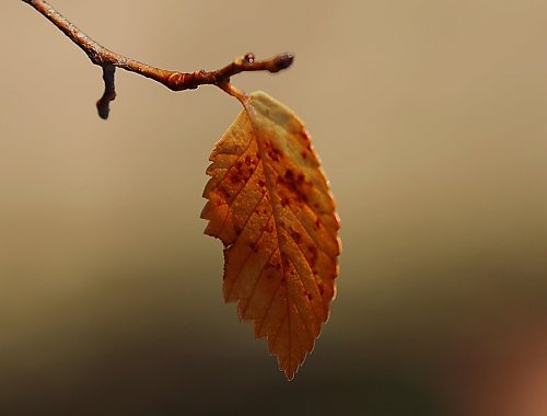 Przeważnie zachmurzenie i sucho [POGODA]