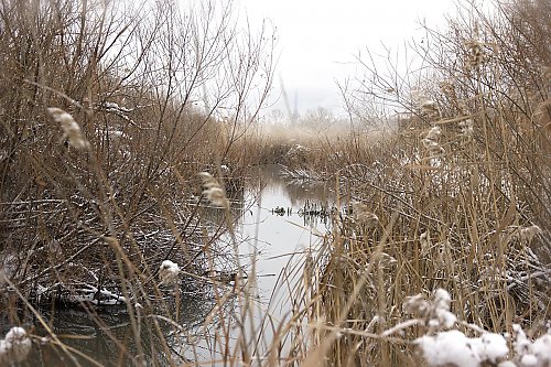Duże zachmurzenie i przelotne opady [POGODA]
