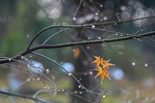 Bydgoszcz: przeważnie pochmurno, łagodne temperatury [POGODA]