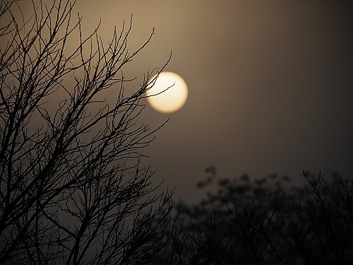 Całkowite zachmurzenie i słabe opady [POGODA]