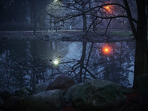 Pochmurno i chłodno, bez opadów [POGODA]