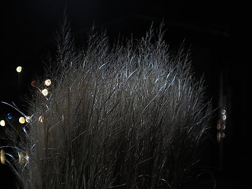 Chmury i chłód, wiatr z zachodu [POGODA]