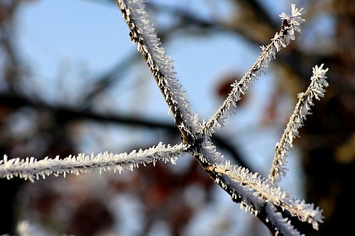 Chłodno, wietrznie i ze zmiennym zachmurzeniem [POGODA]