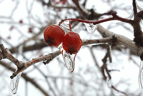Chłodno i z marznącym deszczem - najbliższe dni mogą przysporzyć problemów bydgoskim kierowcom 