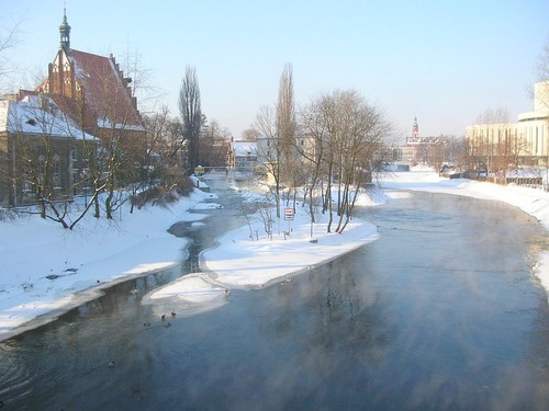 Ochrona dzieci w szkołach. Ruszyła zbiórka podpisów!