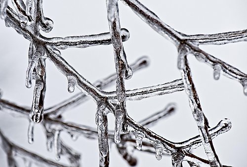 Bydgoszcz: mroźne noce, przeważnie pochmurno z nieznaczną odwilżą [POGODA]