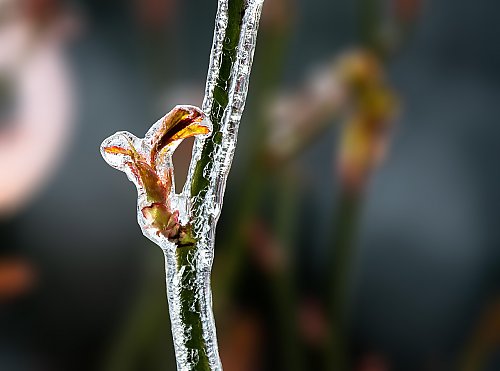 Całkowite zachmurzenie i słabe opady [POGODA]