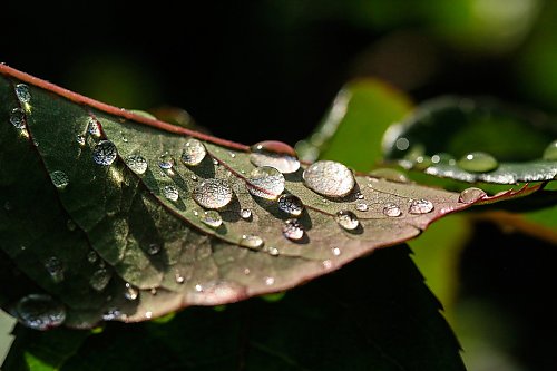 Rześko i wiosennie w Bydgoszczy [POGODA]