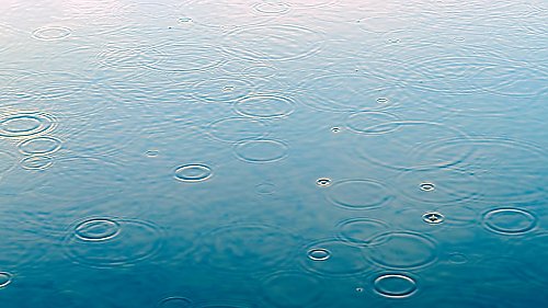 Lekkie ochłodzenie i wiosenne deszcze nad Bydgoszczą [POGODA]