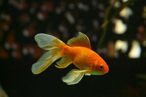 Odkryj swoją historię poprzez sztukę – warsztaty dla seniorów w Młynach Rothera