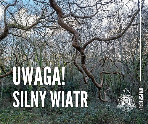 Pracowite Święta dla kujawsko-pomorskich strażaków. Przez silny wiatr musieli interweniować ponad 200 razy