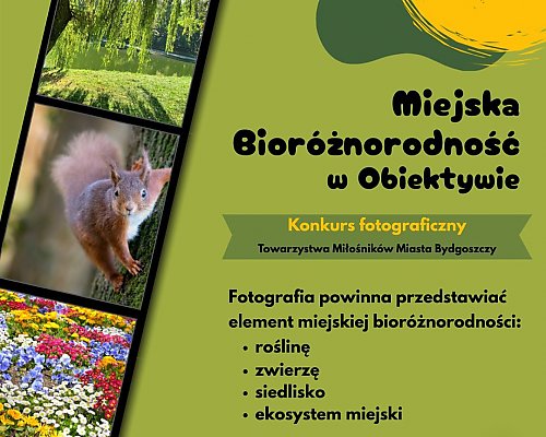 Miejska przyroda w obiektywie. Rusza konkurs fotograficzny w Bydgoszczy