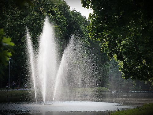 Pochmurno i umiarkowanie — szansa na słabą mżawkę [POGODA]