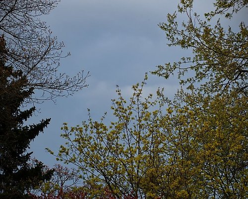 Przeważnie pochmurno, możliwy słaby deszcz nocą [POGODA]