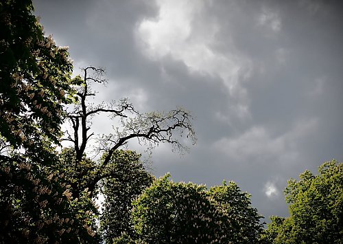 Przelotne opady i ochłodzenie w Bydgoszczy [POGODA]
