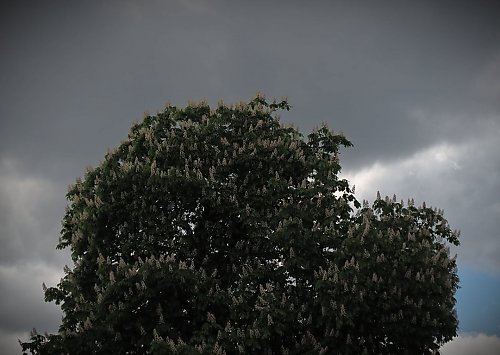 Wiatr i chmury nad Bydgoszczą [POGODA]