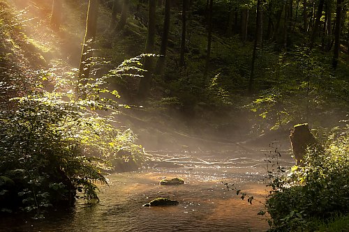 Gorąco, możliwe wieczorne burze [POGODA]